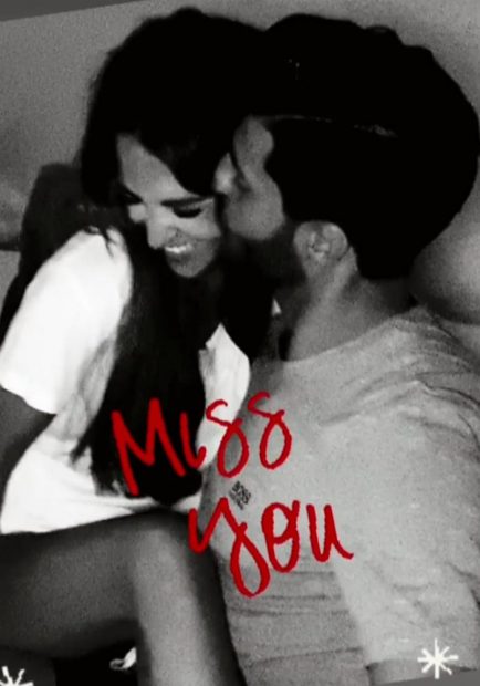 Paula Echevarria y Miguel Torres