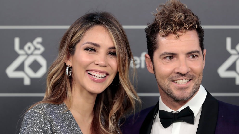 David Bisbal y Rosanna Zanetti, en una imagen de archivo / Gtres.