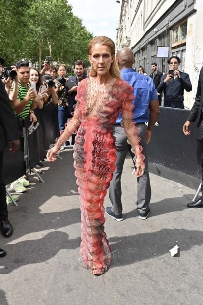 C&eacute;line Dion en una imagen de archivo / Gtres