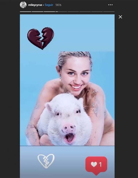 Miley Cyrus