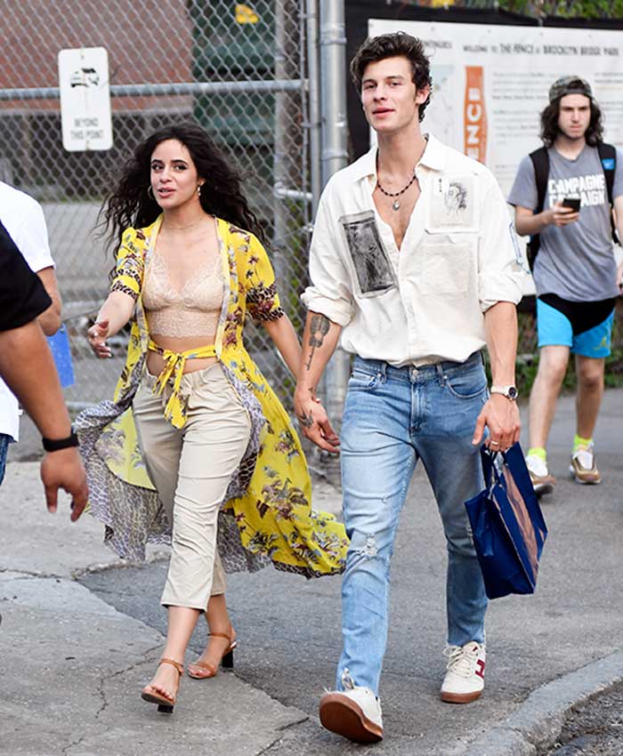 Camilla Cabello paseando con Shawn Mendes por la Gran Manzana / Gtresonline