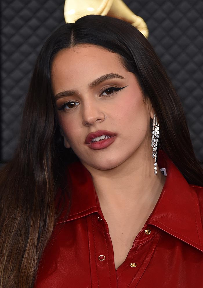 Rosal&iacute;a Lydia Lozano perfilador labios marr&oacute;n