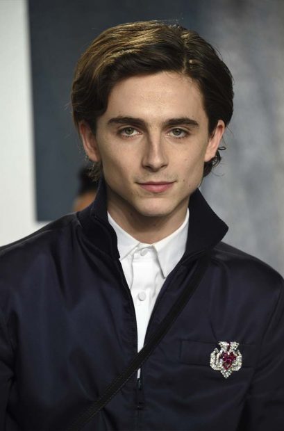 Timoth&eacute;e Chalamet en una fiesta de Vanity Fair / GTres