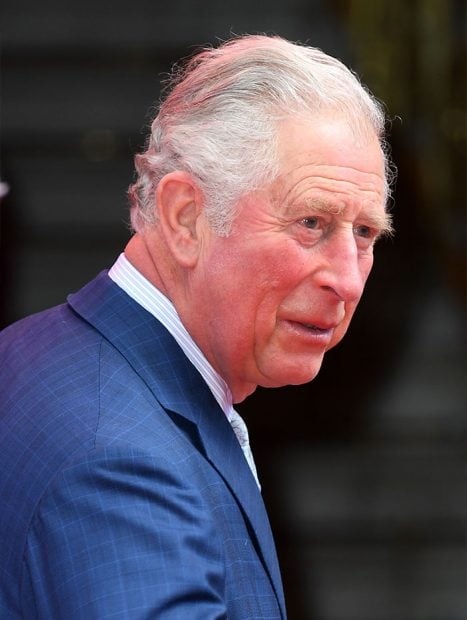 El heredero a la corona brit&aacute;nica dio positivo por coronavirus hace dos d&iacute;as / GTRES