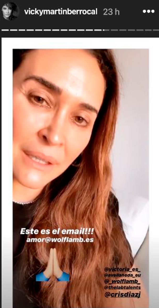 VIcky Martín Berrocal