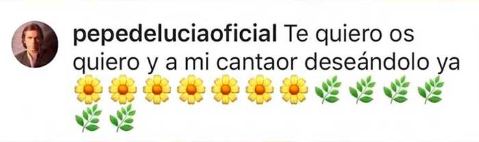 Pepe de Luc&iacute;a ha realizado un comentario en su cuenta de Instagram que ha hecho arder la Red / Instagram