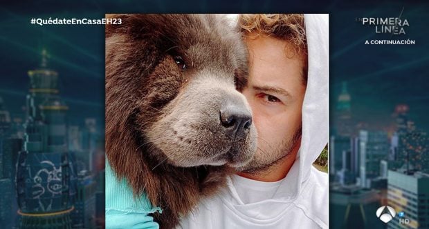 David Bisbal