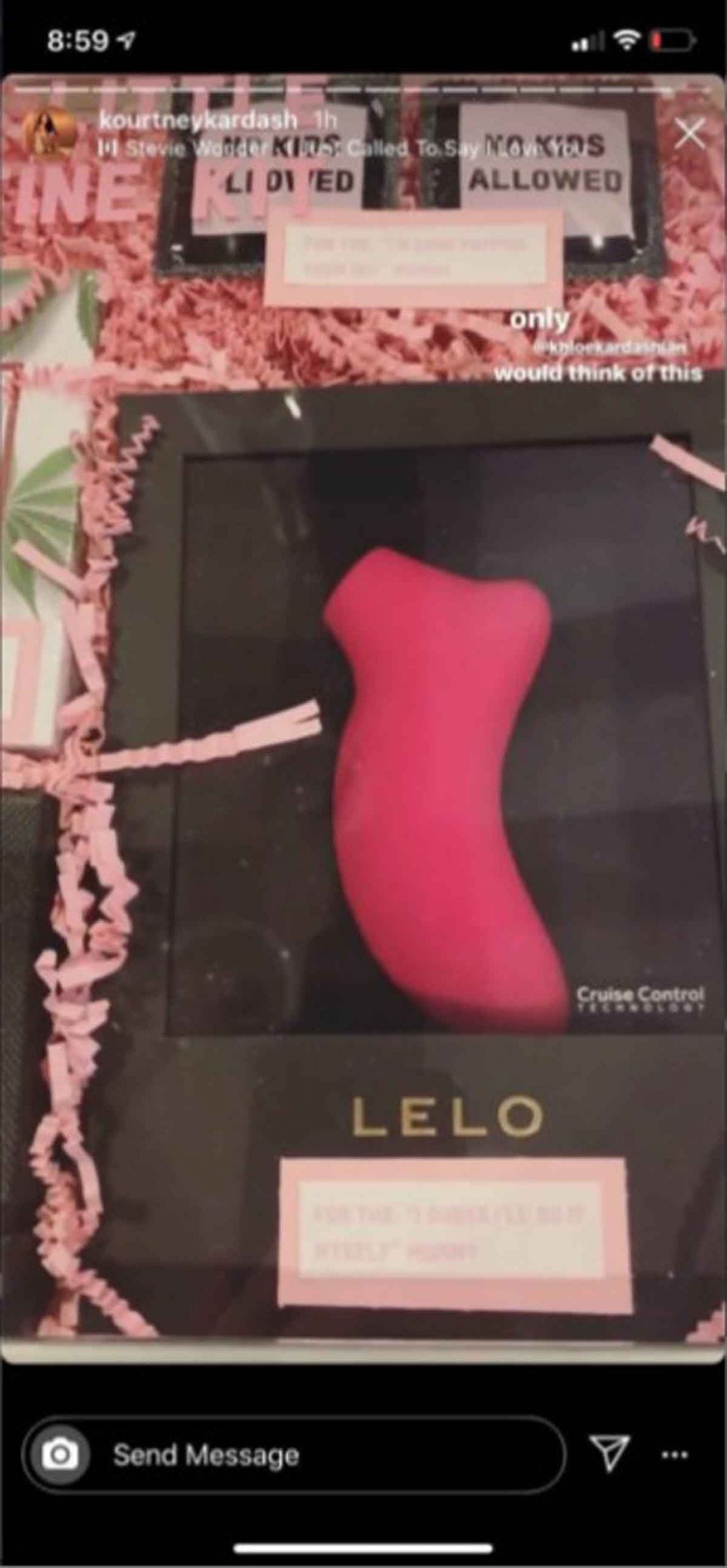 La 'storie' en la que las Kardashian presumían de su nueva adquisición / Instagram