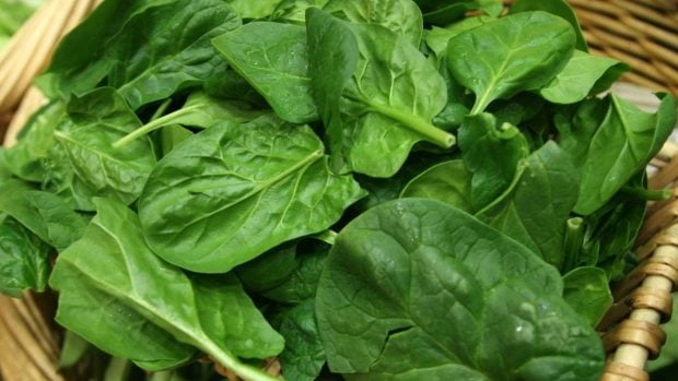 5 alimentos ricos en fibra para cuidar la salud y la l&iacute;nea este verano