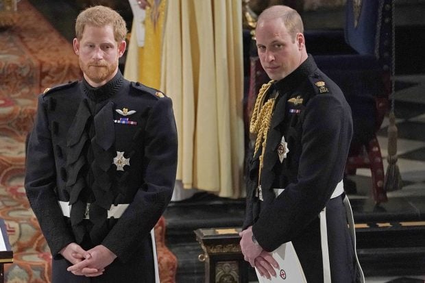 Harry y Guillermo