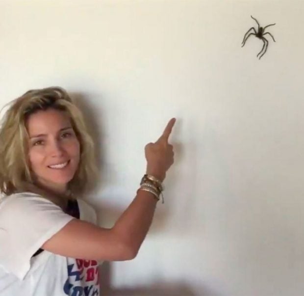 La actriz está encantada con su vida 'salvaje' a pesar de algunos encuentros inesperados con la fauna australiana/@elsapatakyconfidential
