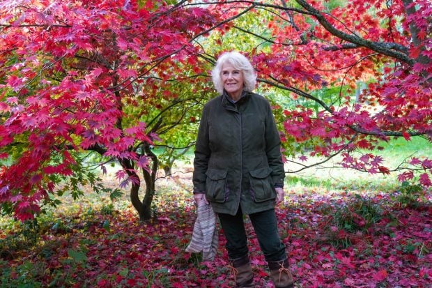 Camilla-Parker Bowles