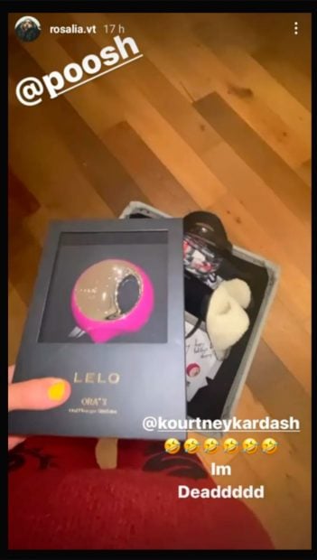 La cantante comparti&oacute; con sus seguidores el divertido y sorprendente unboxing en el que descubri&oacute; un regalo de lo m&aacute;s picante/@rosalia.vt
