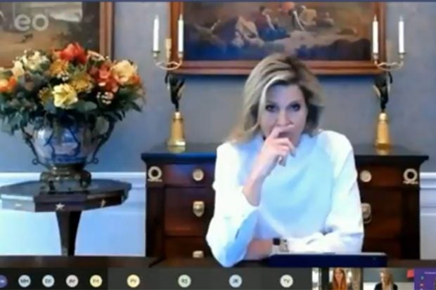 Máxima de Holanda en la reunión de Zoom./Twitter Wim Dehandschutter