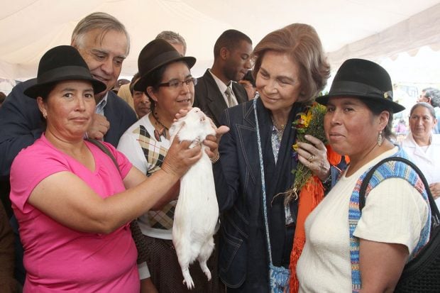 Do&ntilde;a Sof&iacute;a en una imagen de archivo./Gtres