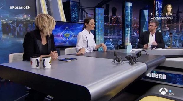 Tamara Falcó
