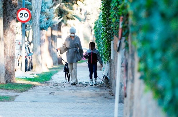 Susanna Griso y su hija Dorcette, con la galga perdida y otro de sus perritos / Gtres