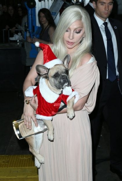 Lady Gaga junto a una de sus mascotas en una imagen de archivo./Gtres