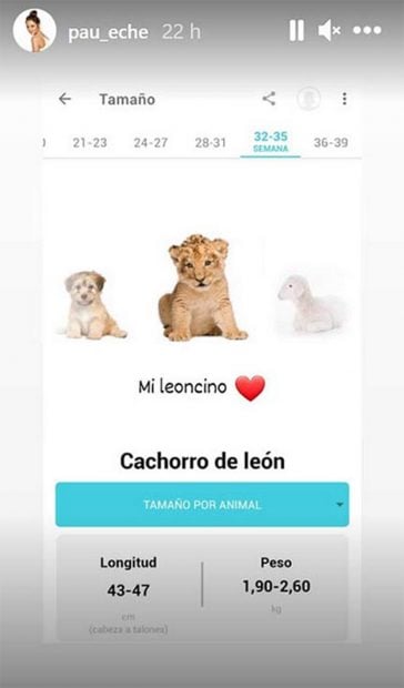 Storie de Paula Echevarr&iacute;a donde muestra de cu&aacute;ntas semanas est&aacute; embarazada./Instagam @pau_eche