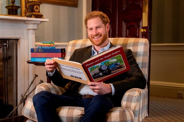 El pr&iacute;ncipe Harry ha escrito el pr&oacute;logo de un libro titulado 'Hospital by the Hill' / Gtres
