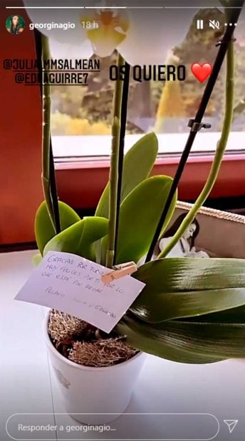 El ramo de flores que le han regalado a Georgina Rodr&iacute;guez / Instagram
