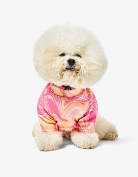Sudadera para perros de Bershka./Bershka