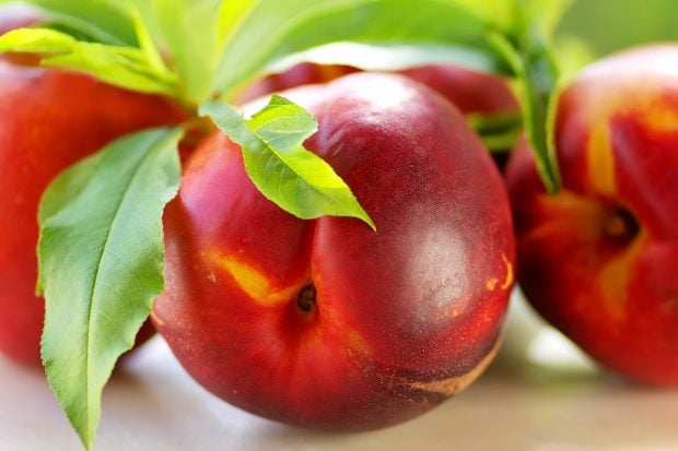 Ingerir fruta a cualquier hora del d&iacute;a es saludable y no perjudicial./Gtres
