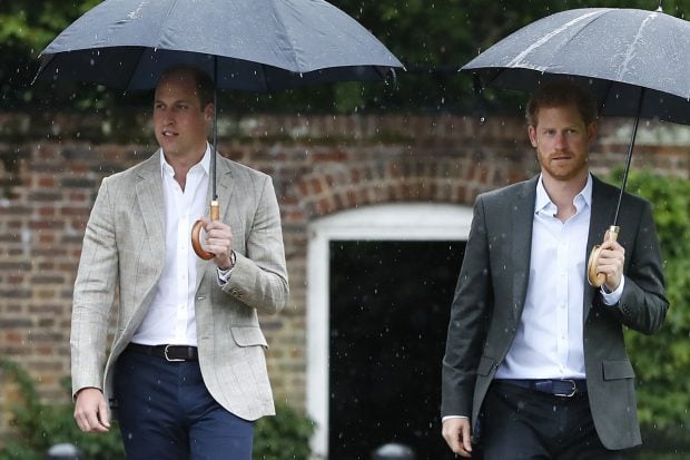 Harry y Guillermo