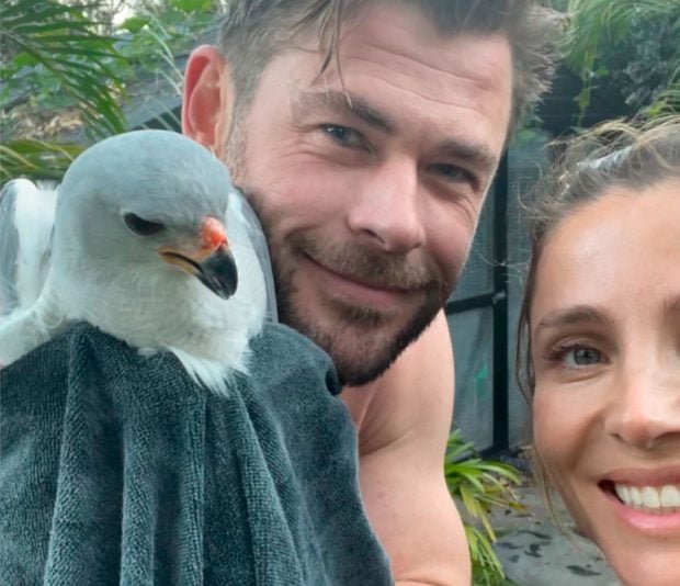 Elsa Pataky, Chris Hemsworth