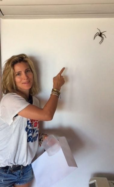 Elsa Pataky