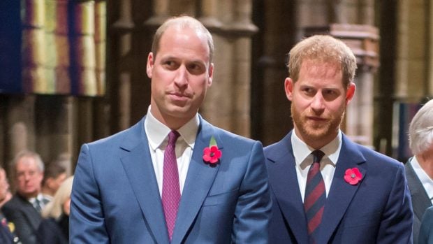pr&iacute;ncipes Harry y Guillermo