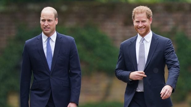 Harry y Guillermo