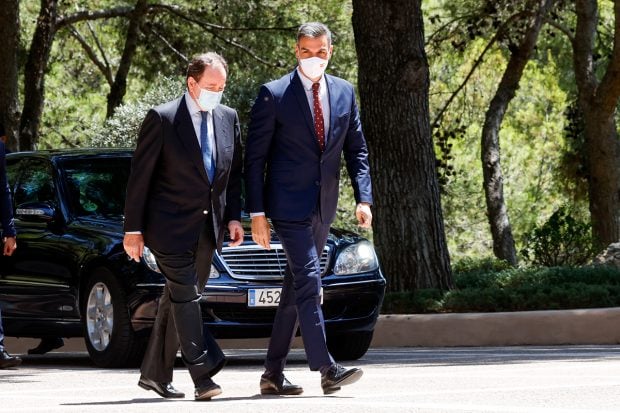 Pedro S&aacute;nchez