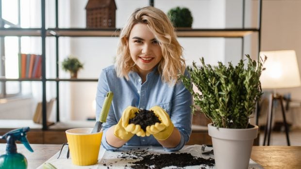 Con estos consejos podr&aacute;s irte de casa sin preocuparte de tus plantas./Gtres