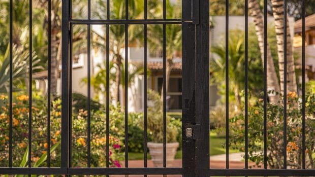 Tus plantas sobrevivir&aacute;n a las vacaciones si tienes en cuenta estos consejos./Gtres
