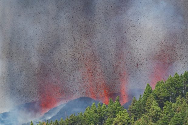 La Palma 