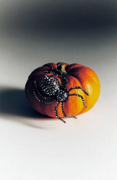 Broche de ara&ntilde;a de la secci&oacute;n de Halloween de Zara./Zara