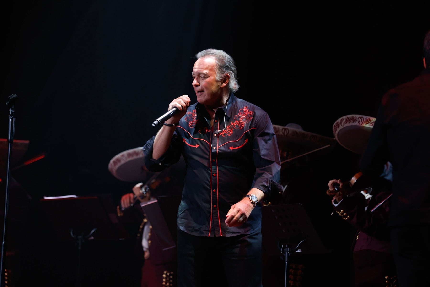 Bert&iacute;n Osborne, en un concierto / Gtres