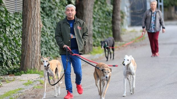 Jorge Javier V&aacute;zquez paseando a sus perros junto a su madre, Mar&iacute;a Morales./Gtres