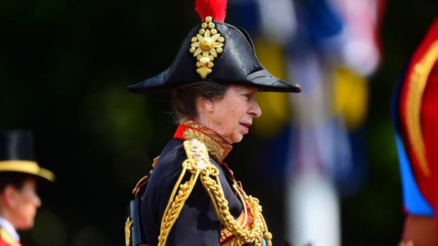Reina Isabel