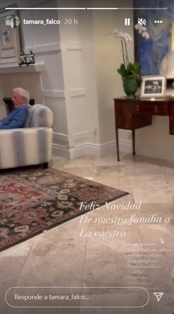 Mario Vargas Llosa en un storie / Instagram