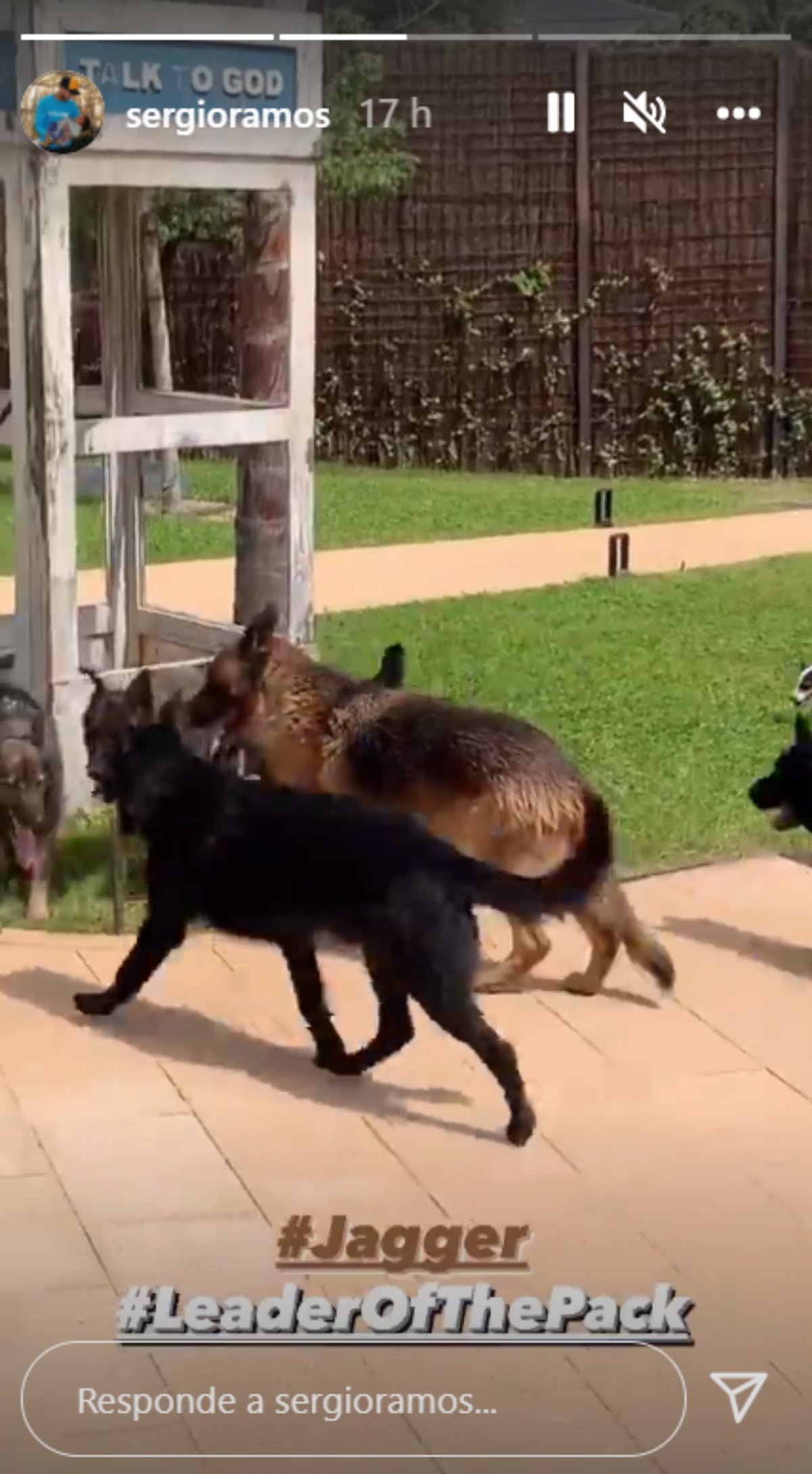 Sergio Ramos se despide de su perro / Instagram