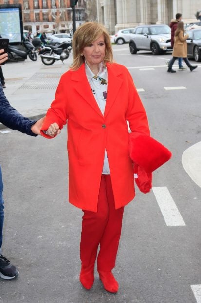 Mar&iacute;a Teresa Campos paseando por Madrid./Gtres