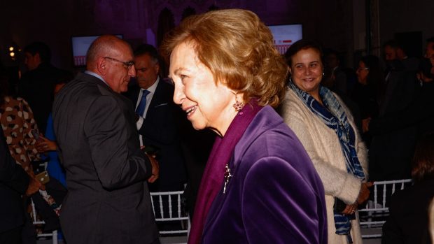 Do&ntilde;a Sof&iacute;a llegando al evento / Gtres