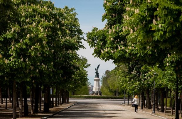 El Retiro / Gtres