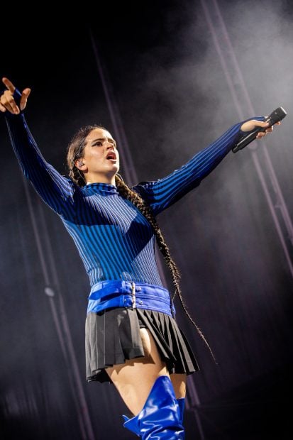 Rosal&iacute;a en un concierto / Gtres