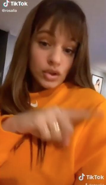 V&iacute;deo de Rosal&iacute;a / TikTok