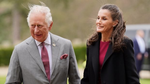 La Reina Letizia y el Rey Carlos en una imagen de archivo / Gtres