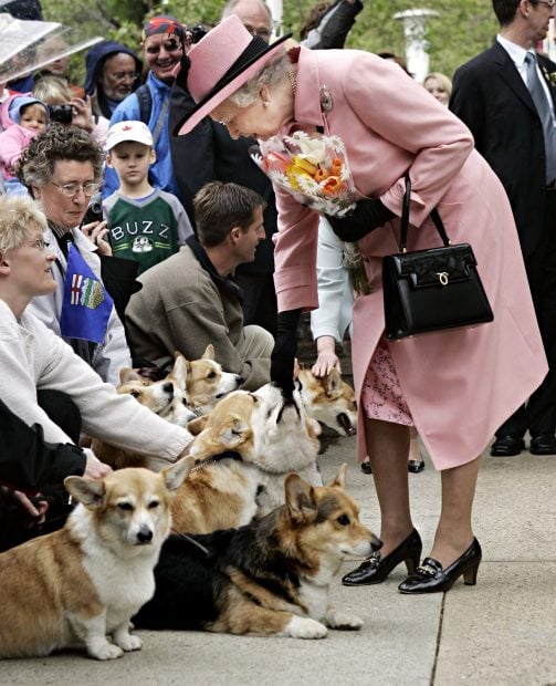 Reina Isabel
