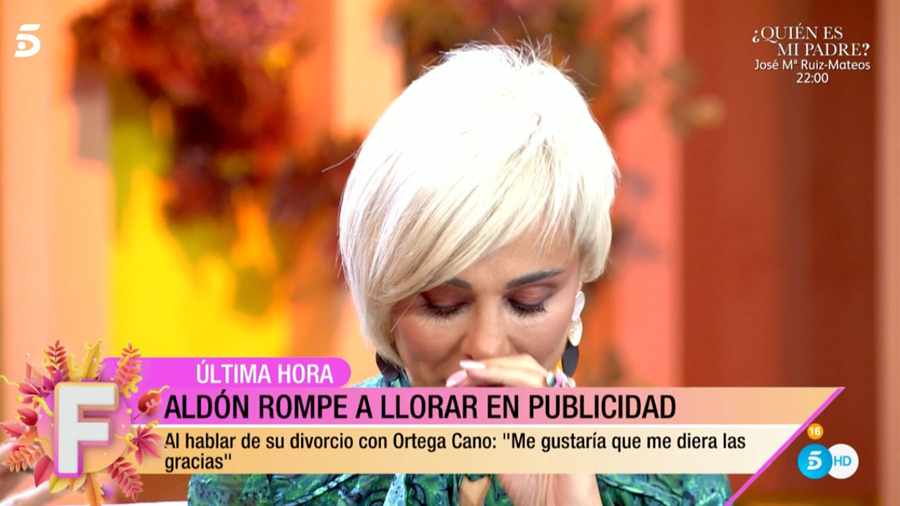 Ana Mar&iacute;a Ald&oacute;n en 'Fiesta' / Telecinco